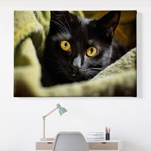 Obraz na plátně - Najdi kočku, černá kočka v zelené dece FeelHappy.cz Velikost obrazu: 60 x 40 cm