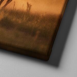 Obraz na plátně - Dva hnědí koně se prohánějí krajinou FeelHappy.cz Velikost obrazu: 40 x 30 cm