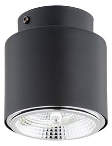 Stropní svítidlo NANO 1 – černé, 1× GU10 AR111, šířka 12 cm