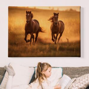 Obraz na plátně - Dva hnědí koně se prohánějí krajinou FeelHappy.cz Velikost obrazu: 40 x 30 cm