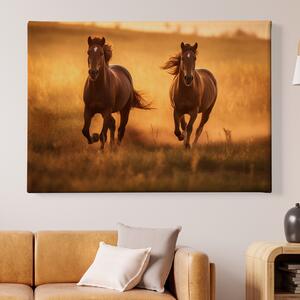 Obraz na plátně - Dva hnědí koně se prohánějí krajinou FeelHappy.cz Velikost obrazu: 120 x 80 cm