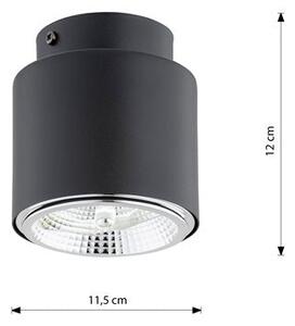 Stropní svítidlo NANO 1 – černé, 1× GU10 AR111, šířka 12 cm