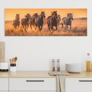 Obraz na plátně - Stádo divokých koní, zlatý západ slunce FeelHappy.cz Velikost obrazu: 60 x 20 cm