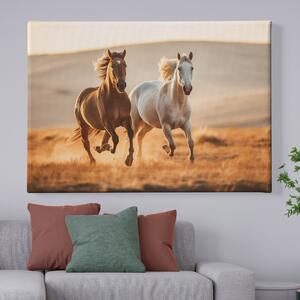 Obraz na plátně - Hnědý a černý kůň běžící planinou FeelHappy.cz Velikost obrazu: 40 x 30 cm