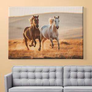 Obraz na plátně - Hnědý a černý kůň běžící planinou FeelHappy.cz Velikost obrazu: 60 x 40 cm