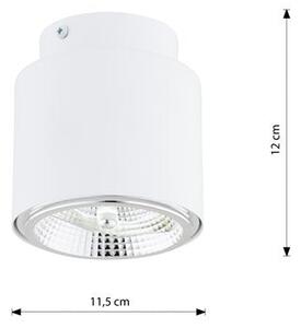 Stropní svítidlo NANO 1 – bílé, 1× GU10 AR111, šířka 12 cm