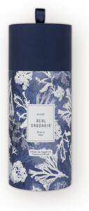 REAL SABOARIA Mořská řasa Vonný difuzér, 200 ml