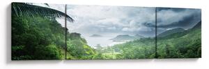 Obraz - Seychelská jungle (170x50 cm)