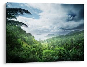 Obraz - Seychelská jungle (70x50 cm)