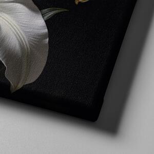 Obraz na plátně - Květ Lilie na černém pozadí FeelHappy.cz Velikost obrazu: 40 x 30 cm