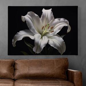 Obraz na plátně - Květ Lilie na černém pozadí FeelHappy.cz Velikost obrazu: 150 x 100 cm