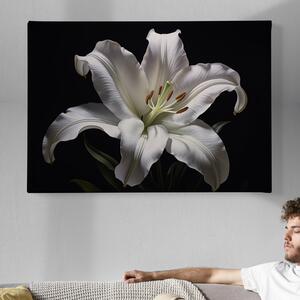 Obraz na plátně - Květ Lilie na černém pozadí FeelHappy.cz Velikost obrazu: 210 x 140 cm