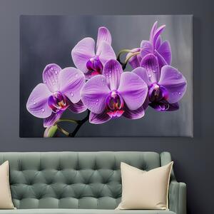 Obraz na plátně - Květ fialová orchidej FeelHappy.cz Velikost obrazu: 90 x 60 cm