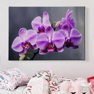 Obraz na plátně - Květ fialová orchidej FeelHappy.cz Velikost obrazu: 90 x 60 cm