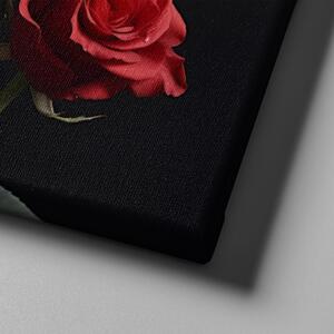 Obraz na plátně - Červené růže na černém pozadí FeelHappy.cz Velikost obrazu: 40 x 30 cm
