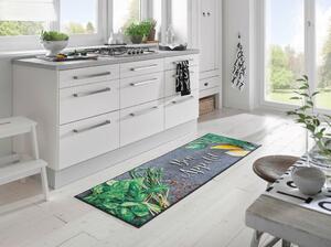 BĚHOUN DO KUCHYNĚ, 60/180 cm, šedá, zelená Esposa - Koberce do kuchyně