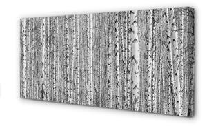 Obrazy na plátně Černá a bílá strom les 100x50cm