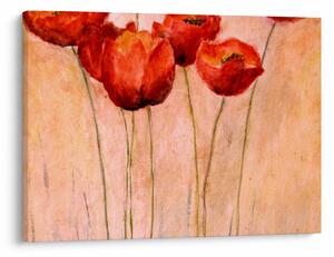 Obraz - Červené tulipány (70x50 cm)