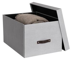 Kartonový úložný box s víkem Tora – Bigso Box of Sweden