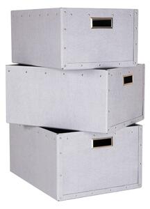 Kartonové úložné boxy v sadě 3 ks s víkem Ture – Bigso Box of Sweden