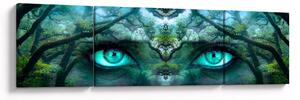 Obraz - Pohled (170x50 cm)