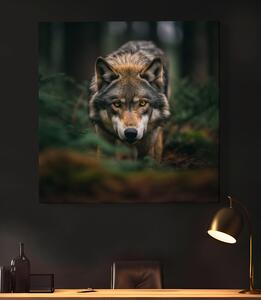 Obraz na plátně - Vlk číhajíc v houštině FeelHappy.cz Velikost obrazu: 40 x 40 cm