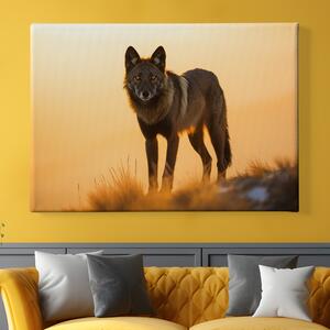 Obraz na plátně - Černý vlk na průzkumu FeelHappy.cz Velikost obrazu: 90 x 60 cm
