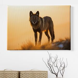 Obraz na plátně - Černý vlk na průzkumu FeelHappy.cz Velikost obrazu: 210 x 140 cm