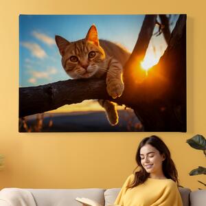 Obraz na plátně - Kočka na větvi při západu slunce FeelHappy.cz Velikost obrazu: 90 x 60 cm