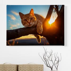 Obraz na plátně - Kočka na větvi při západu slunce FeelHappy.cz Velikost obrazu: 210 x 140 cm