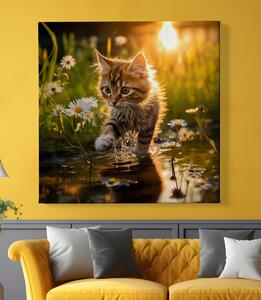 Obraz na plátně - Kotě objevuje krásy přírody FeelHappy.cz Velikost obrazu: 40 x 40 cm