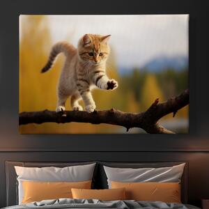 Obraz na plátně - Mladá kočka balancuje na hraně FeelHappy.cz Velikost obrazu: 210 x 140 cm