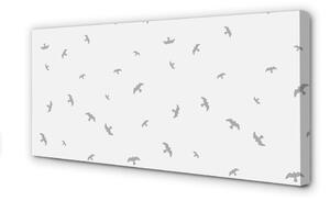 Obrazy na plátně šedé ptáků 100x50 cm