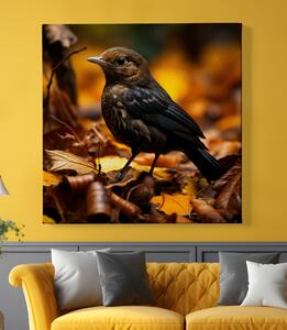 Obraz na plátně - Černý ptáček hledá potravu v listí FeelHappy.cz Velikost obrazu: 40 x 40 cm