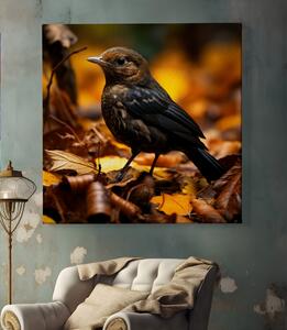 Obraz na plátně - Černý ptáček hledá potravu v listí FeelHappy.cz Velikost obrazu: 40 x 40 cm