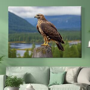 Obraz na plátně - Káně lesní sedí a rozhlíží se FeelHappy.cz Velikost obrazu: 150 x 100 cm