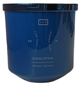 DW HOME Eucalyptus Vonná svíčka ve skle, 405 g