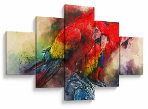 Obraz červených papoušků ara (125x70 cm)