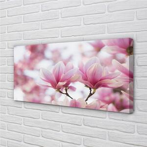Obrazy na plátně magnolie strom 100x50 cm