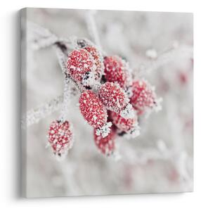 Obraz - Zmrzlé plody (30x30 cm)