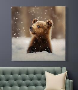 Obraz na plátně - Medvídě pozoruje vločky v lese FeelHappy.cz Velikost obrazu: 40 x 40 cm