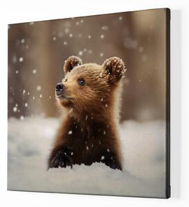 Obraz na plátně - Medvídě pozoruje vločky v lese FeelHappy.cz Velikost obrazu: 60 x 60 cm
