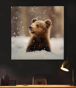 Obraz na plátně - Medvídě pozoruje vločky v lese FeelHappy.cz Velikost obrazu: 40 x 40 cm