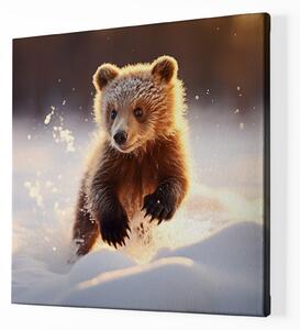 Obraz na plátně - Medvídě skotačí v zimní krajině FeelHappy.cz Velikost obrazu: 140 x 140 cm