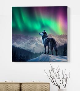 Obraz na plátně - Vlk pozoruje polární záři FeelHappy.cz Velikost obrazu: 40 x 40 cm