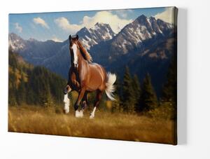 Obraz na plátně - Divoký kůň Majesty na planině v horách FeelHappy.cz Velikost obrazu: 40 x 30 cm