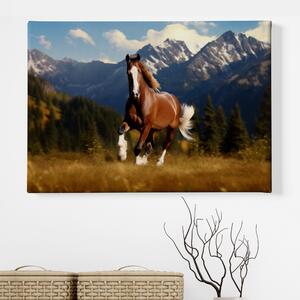 Obraz na plátně - Divoký kůň Majesty na planině v horách FeelHappy.cz Velikost obrazu: 210 x 140 cm