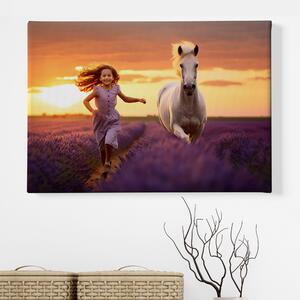Obraz na plátně - Levandulové přátelství, kůň Whisper a mladá dívka FeelHappy.cz Velikost obrazu: 150 x 100 cm