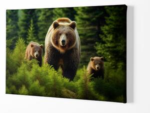 Obraz na plátně - Medvěd Grizzly s rodinou v jehličnatém lese FeelHappy.cz Velikost obrazu: 210 x 140 cm