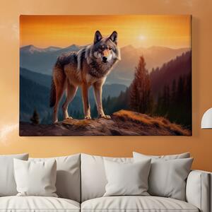 Obraz na plátně - Vlk chytá poslední paprsky slunce FeelHappy.cz Velikost obrazu: 40 x 30 cm